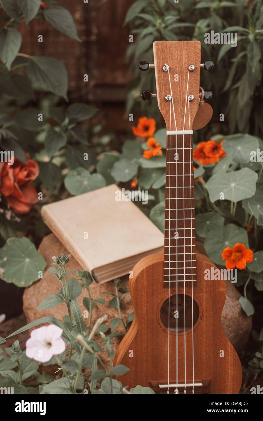 un ukulele et un livre parmi les fleurs sauvages Banque D'Images