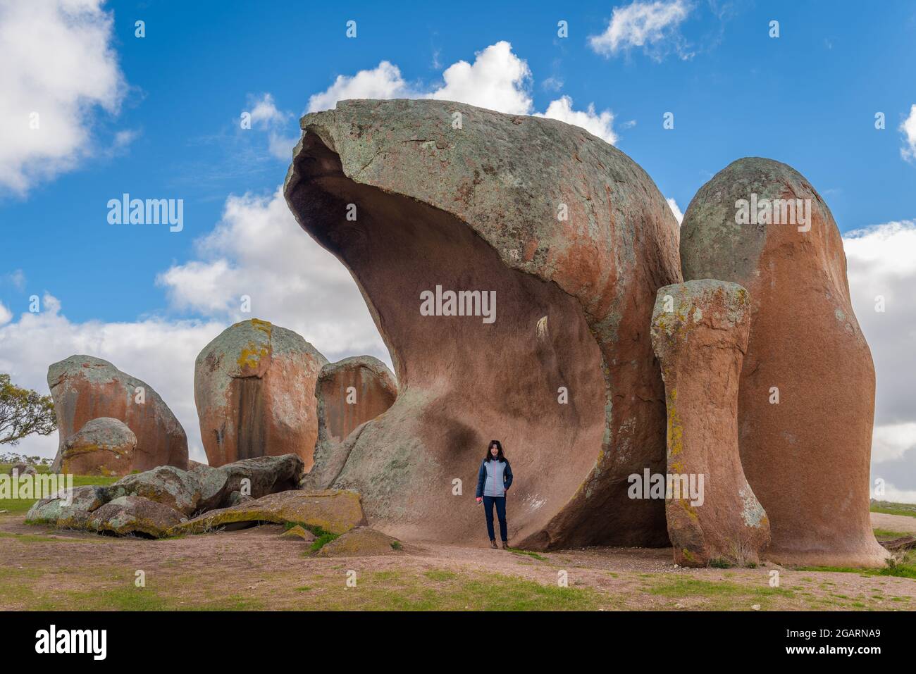 Les gigantesques blocs de granit rouge connus sous le nom de haystacks de Murphy sont une attraction touristique sur les terres agricoles près de Streaky Bay sur la péninsule d'Eyre en Australie méridionale. Banque D'Images