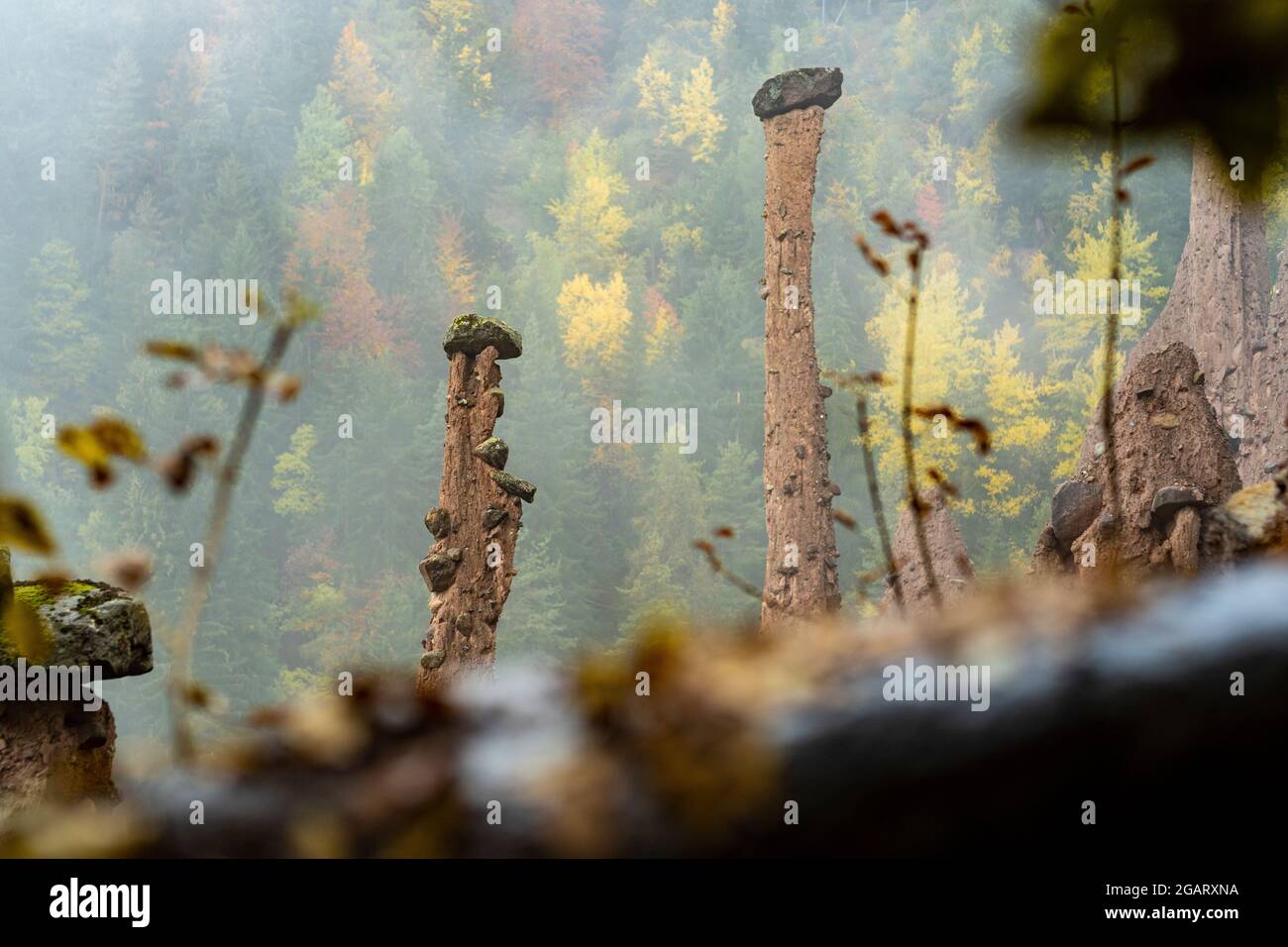 Les pyramides de terre dans le brouillard d'automne, Renon/Ritten, Bolzano, Tyrol du Sud, Italie Banque D'Images
