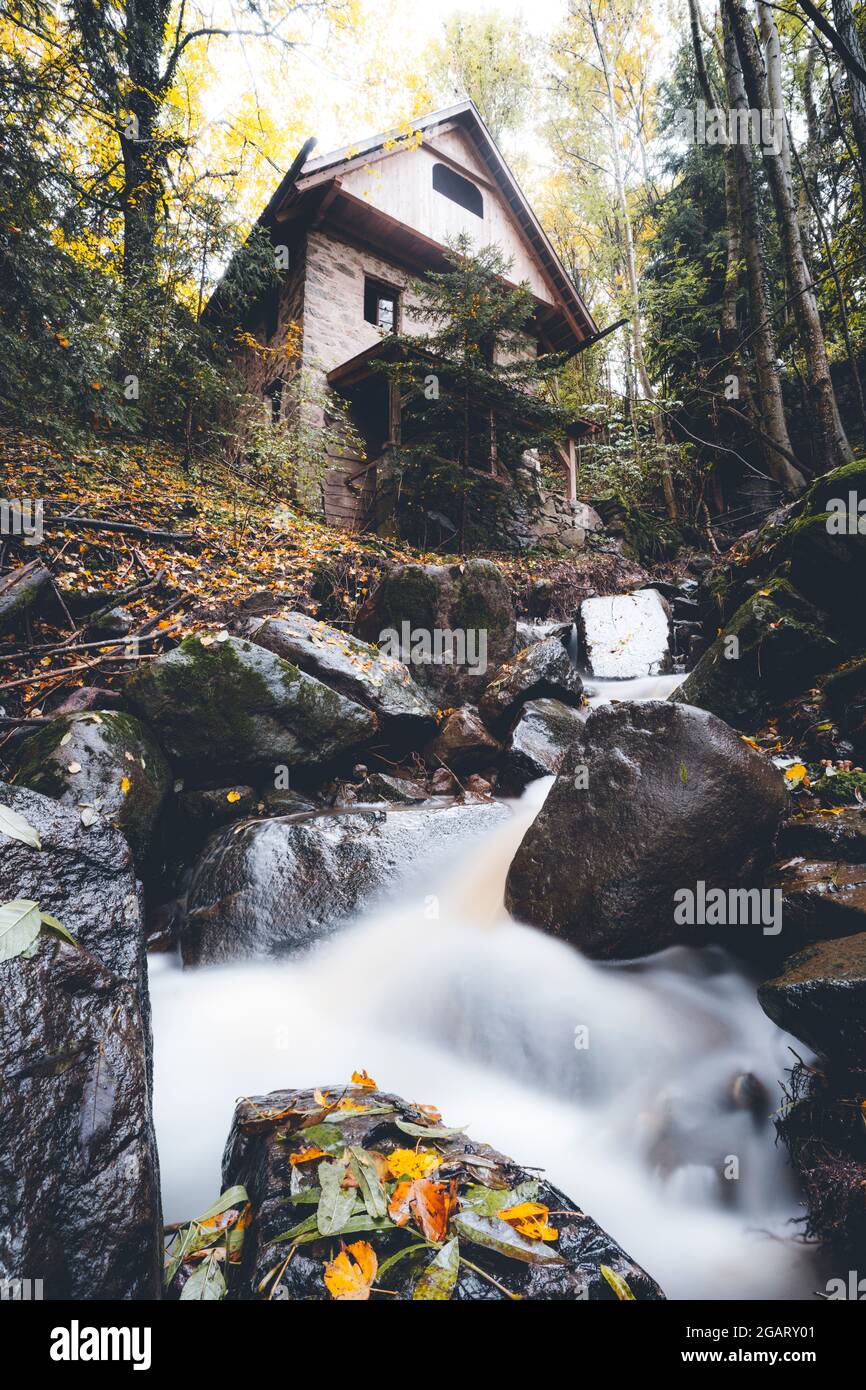Eau de ruisseau coulant sur des rochers dans les bois d'automne à côté d'une maison solitaire, Longomoso, Renon, Bolzano, Tyrol du Sud, Italie Banque D'Images