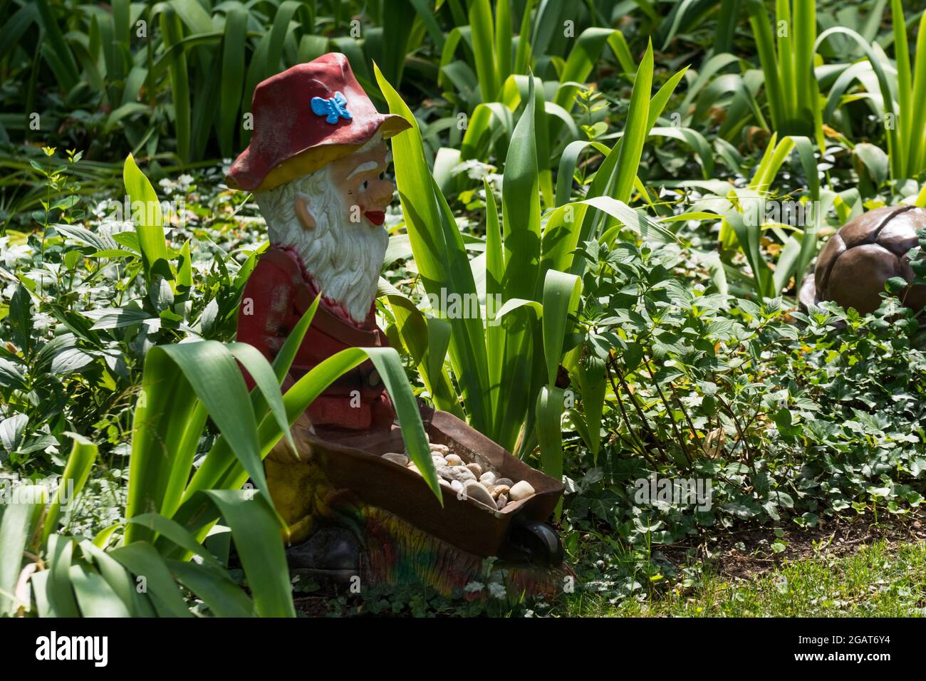 nain avec un disque de poitrine entre les plantes dans un mini-golf d'un parc d'attractions en vacances Banque D'Images