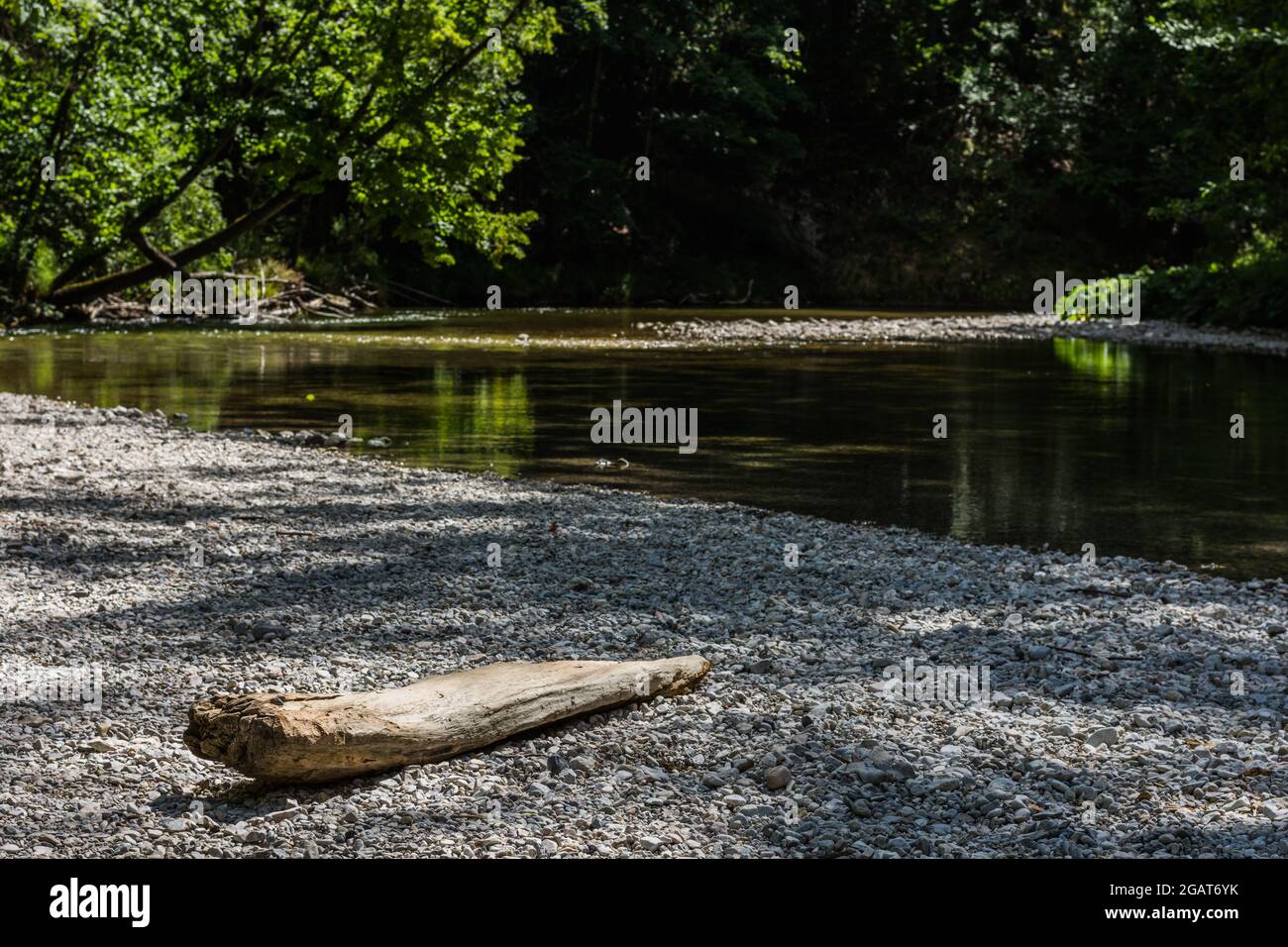 tronc d'arbre blanc dans le gravier d'un ruisseau tout en randonnée en été Banque D'Images