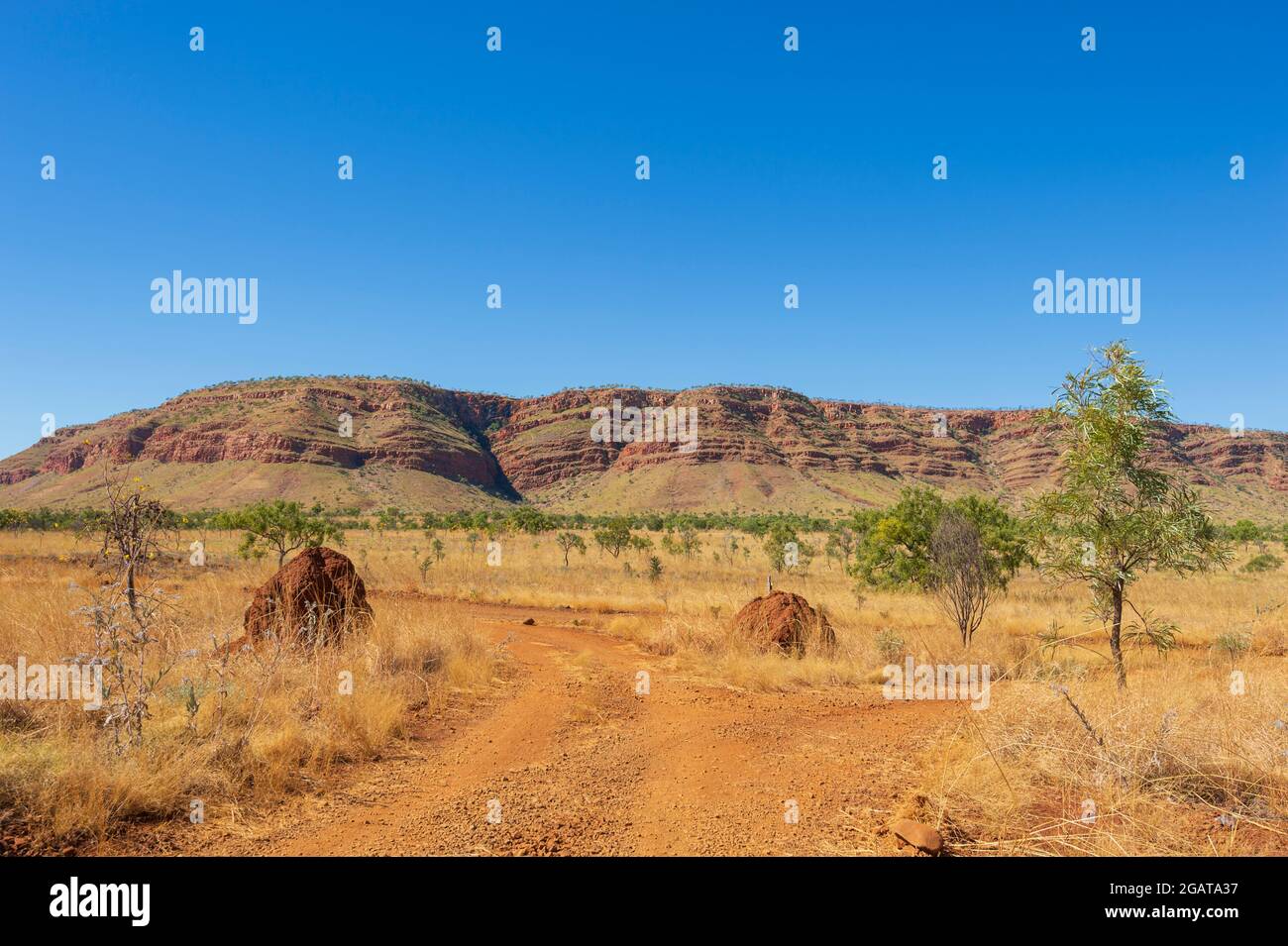 Vue panoramique sur la chaîne des montagnes du Roi Léopold et la savane avec termites, région de Kimberley, Australie occidentale, Australie occidentale, Australie occidentale, Australie Banque D'Images