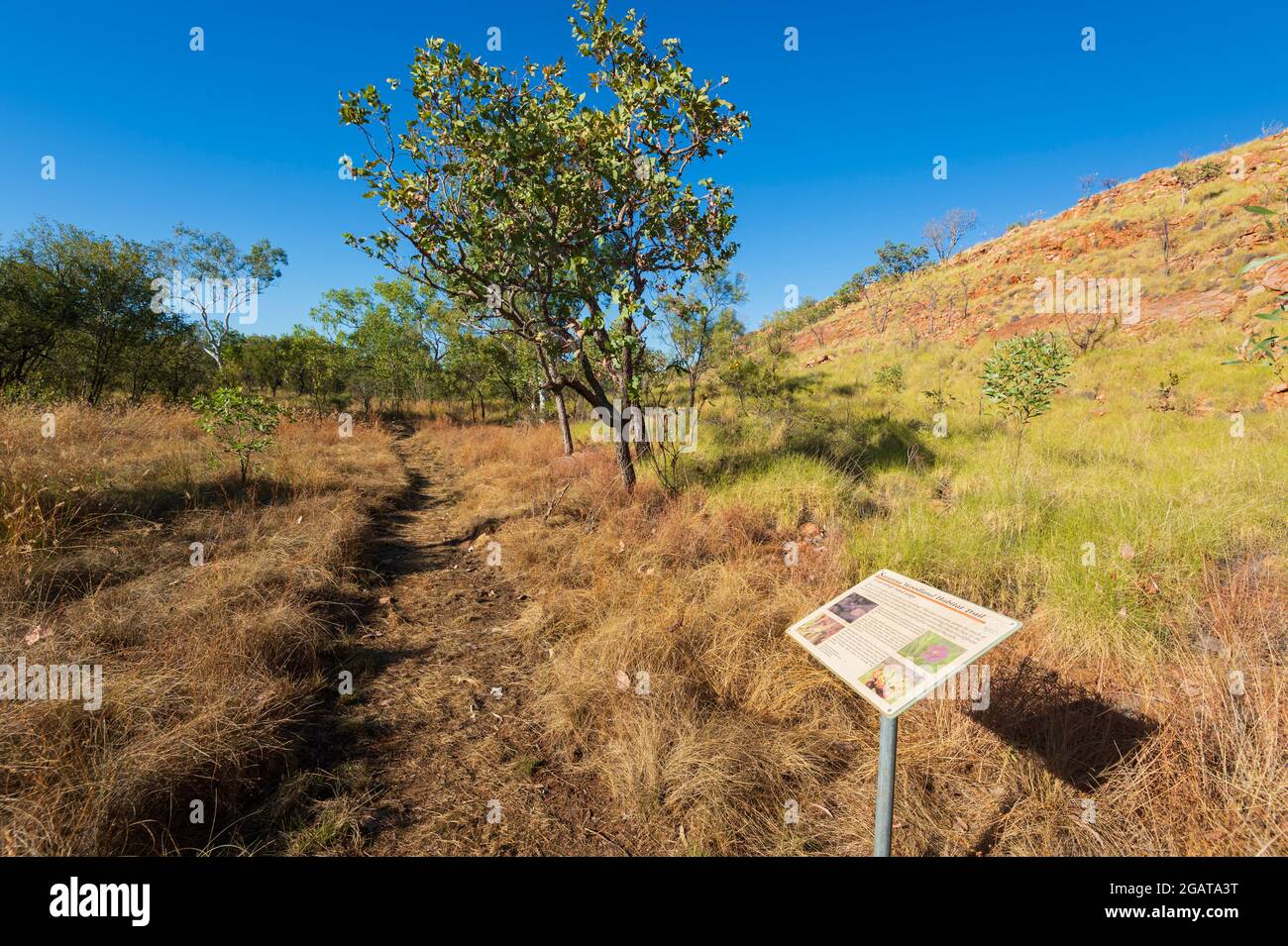 Panneau d'interprétation le long de Savannah Trail, Mornington Wilderness Camp, région de Kimberley, Australie occidentale, Australie occidentale, Australie Banque D'Images