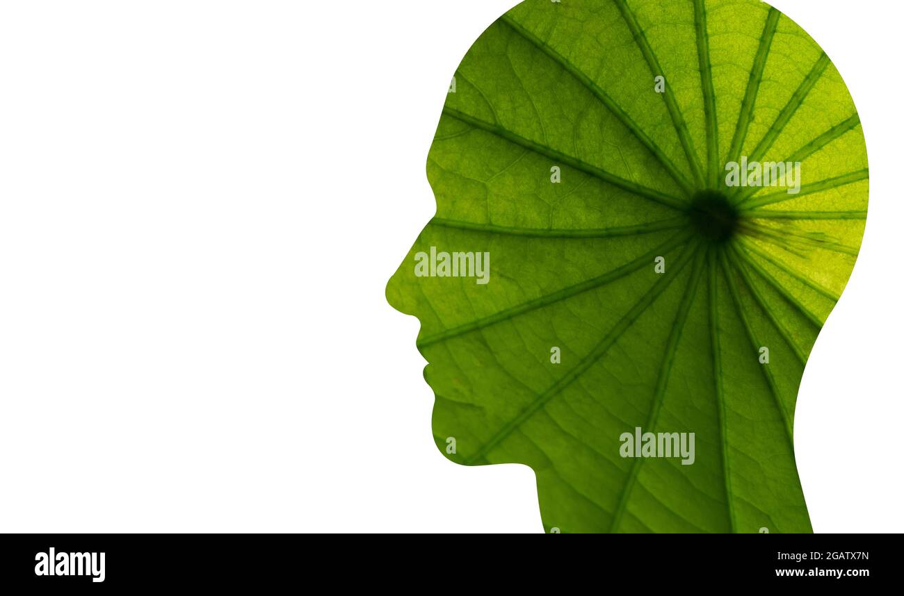 Face avec silhouette de texture de feuille isolée sur fond blanc. Illustration. Banque D'Images