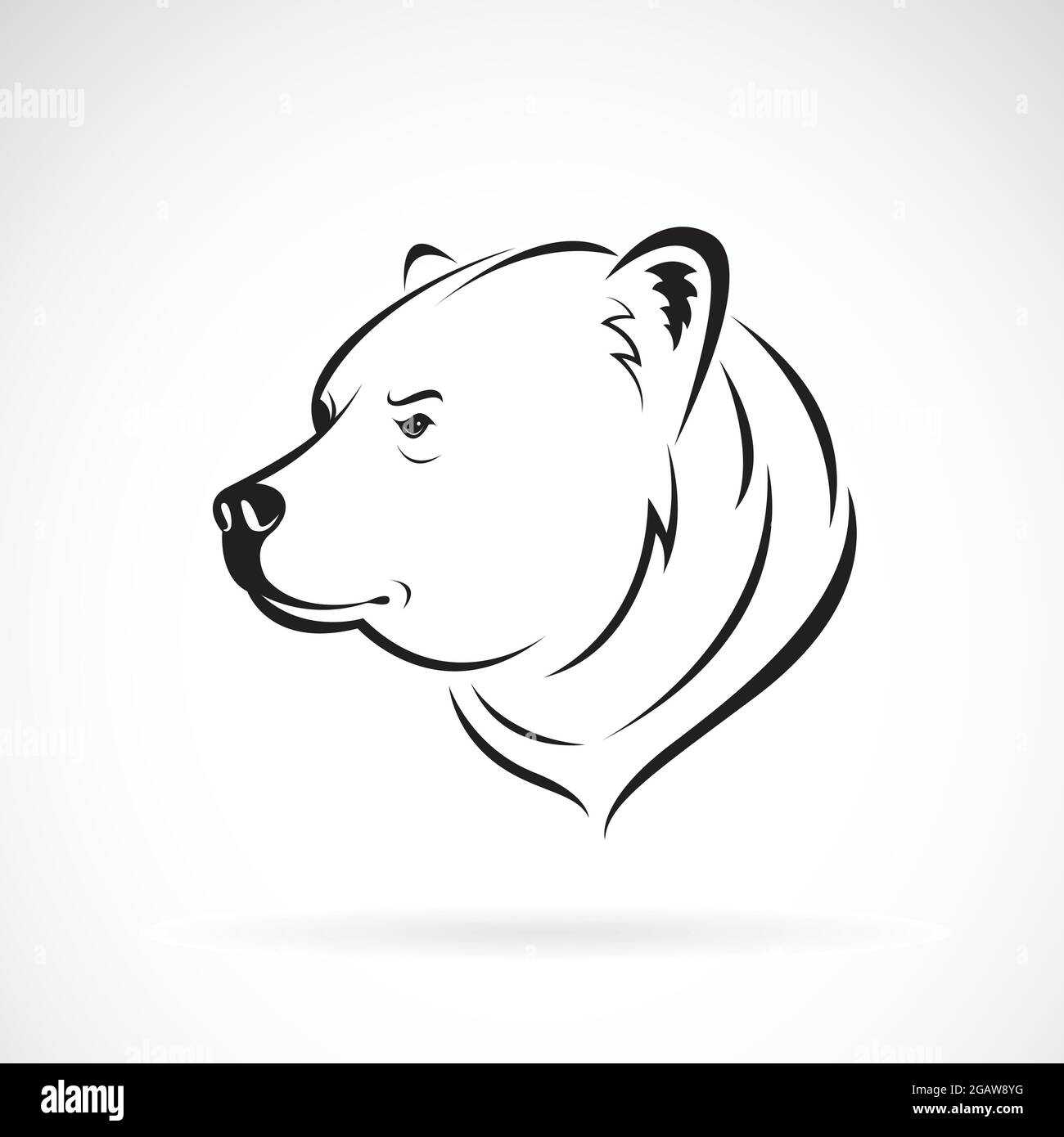 Tete D Ours Dessin Facile