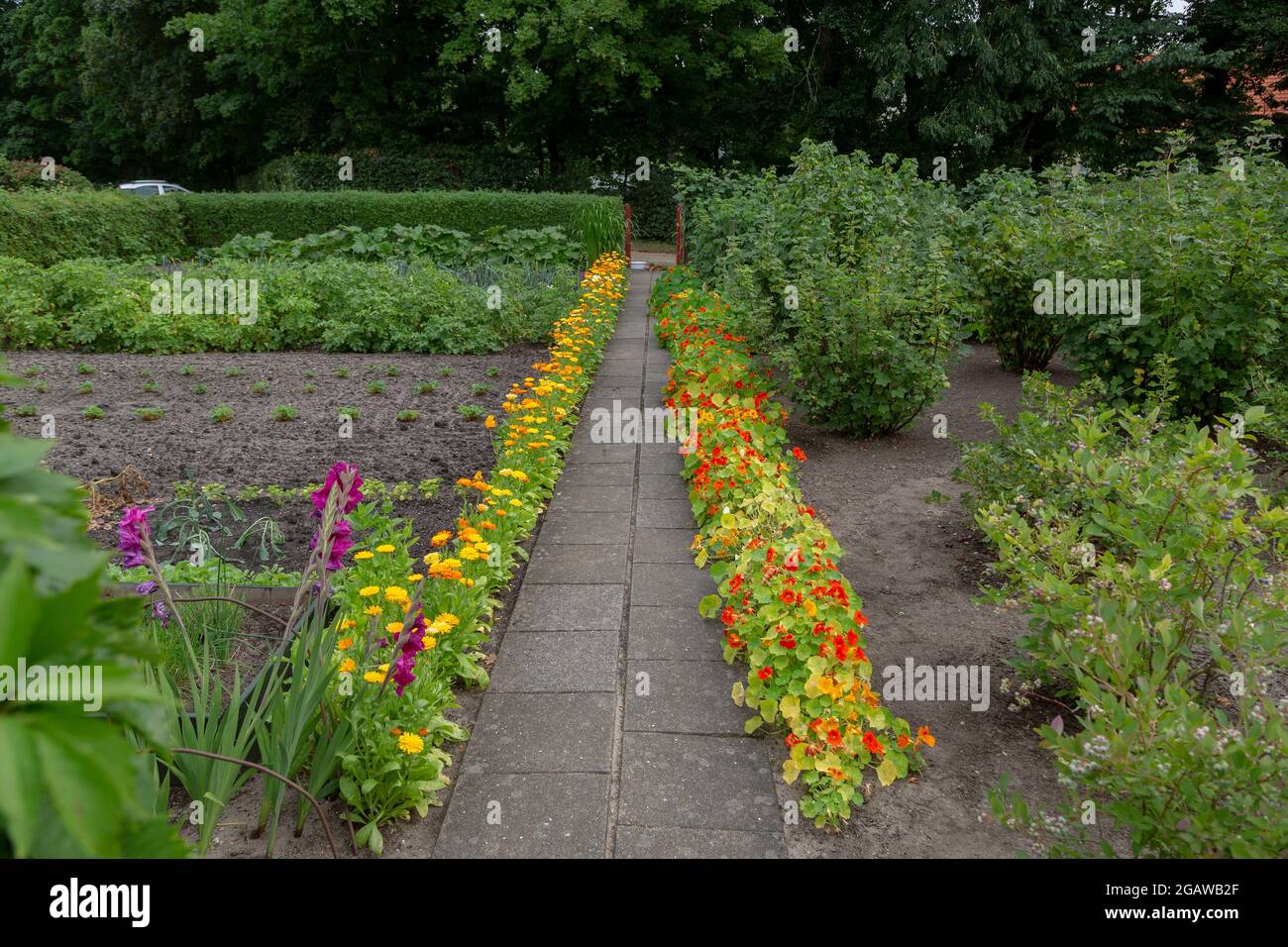 Jardin d'allotement au Danemark avec des légumes, des fruits, des baies, des fleurs. Bien sûr, il y a aussi une maison de jardin.-------------- Kleingarten à Dänemark Banque D'Images