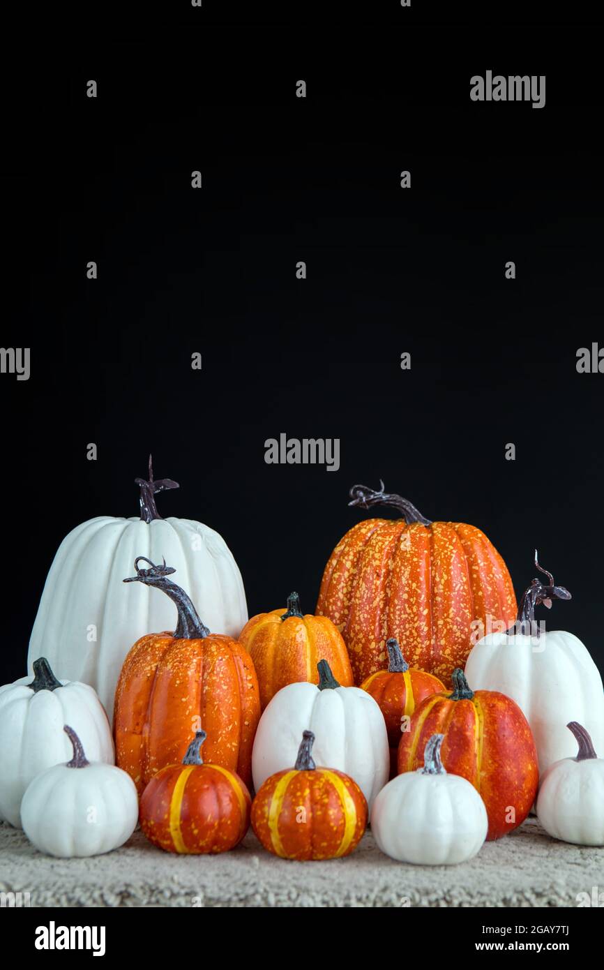 Les citrouilles orange et blanc reposent sur un fond noir. Art automne Pumpkin Thanksgiving fond Banque D'Images