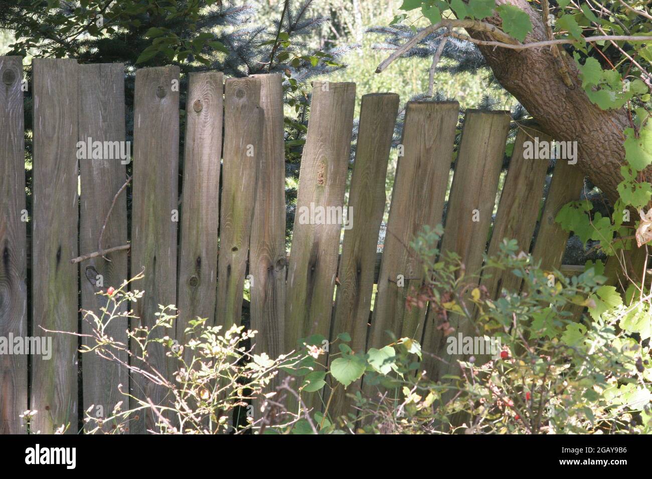 Vieille clôture, vieille clôture dans la campagne, clôture en bois, campagne, Banque D'Images