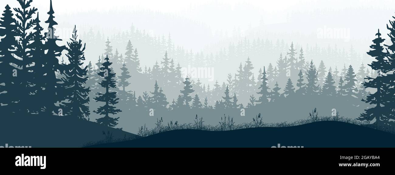 Bannière horizontale de forêt et de prairie, silhouettes d'arbres et d'herbe. Paysage magique et brumeux, brouillard. Illustration bleue et grise. Signet. Illustration de Vecteur