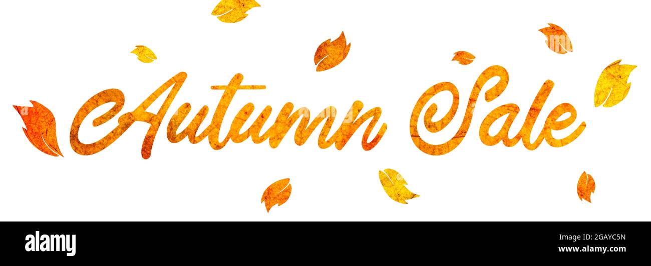 Panneau de vente d'automne fait de feuilles d'automne sur fond blanc Banque D'Images