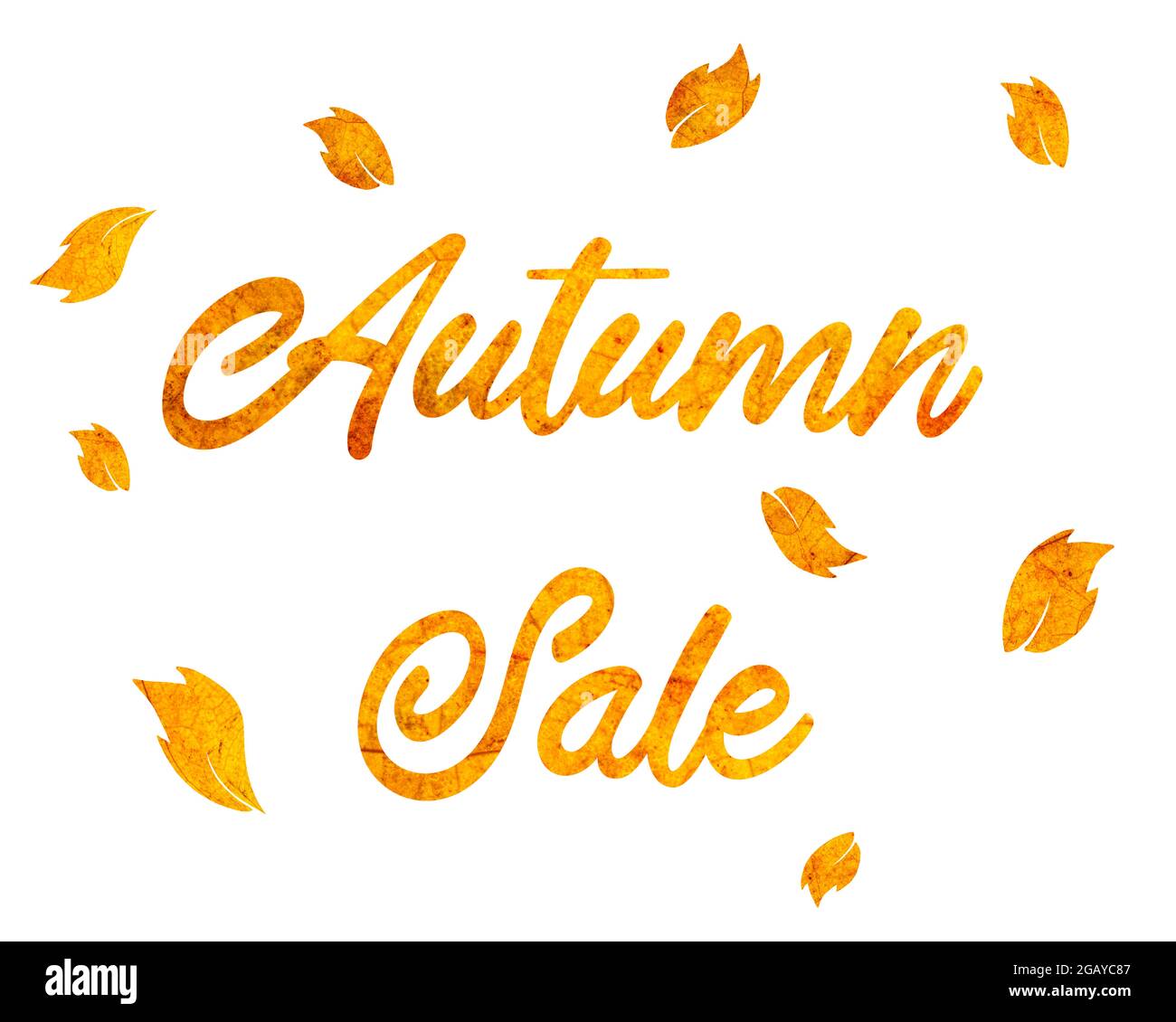 Panneau de vente d'automne fait de feuilles d'automne sur fond blanc Banque D'Images