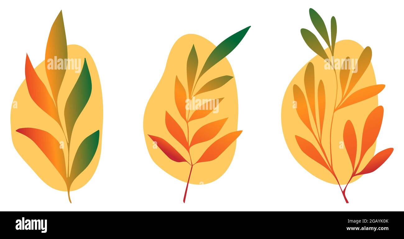 Collection Golden Autumn branches. Ensemble de feuilles de chute sur fond clair. Illustrations vectorielles isolées sur fond blanc Illustration de Vecteur