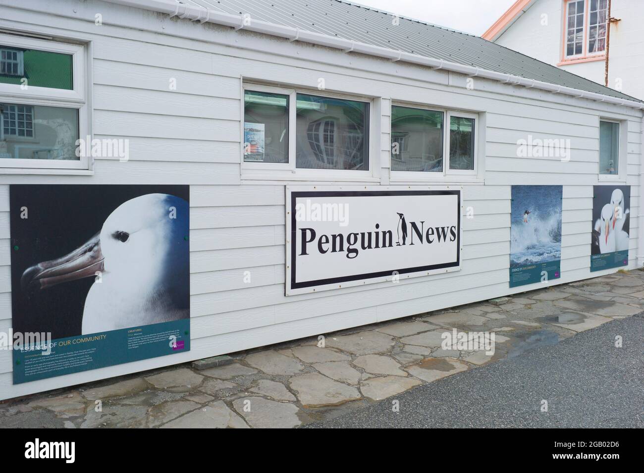 Bureau de nouvelles des pingouins, port stanley, îles falkland Banque D'Images