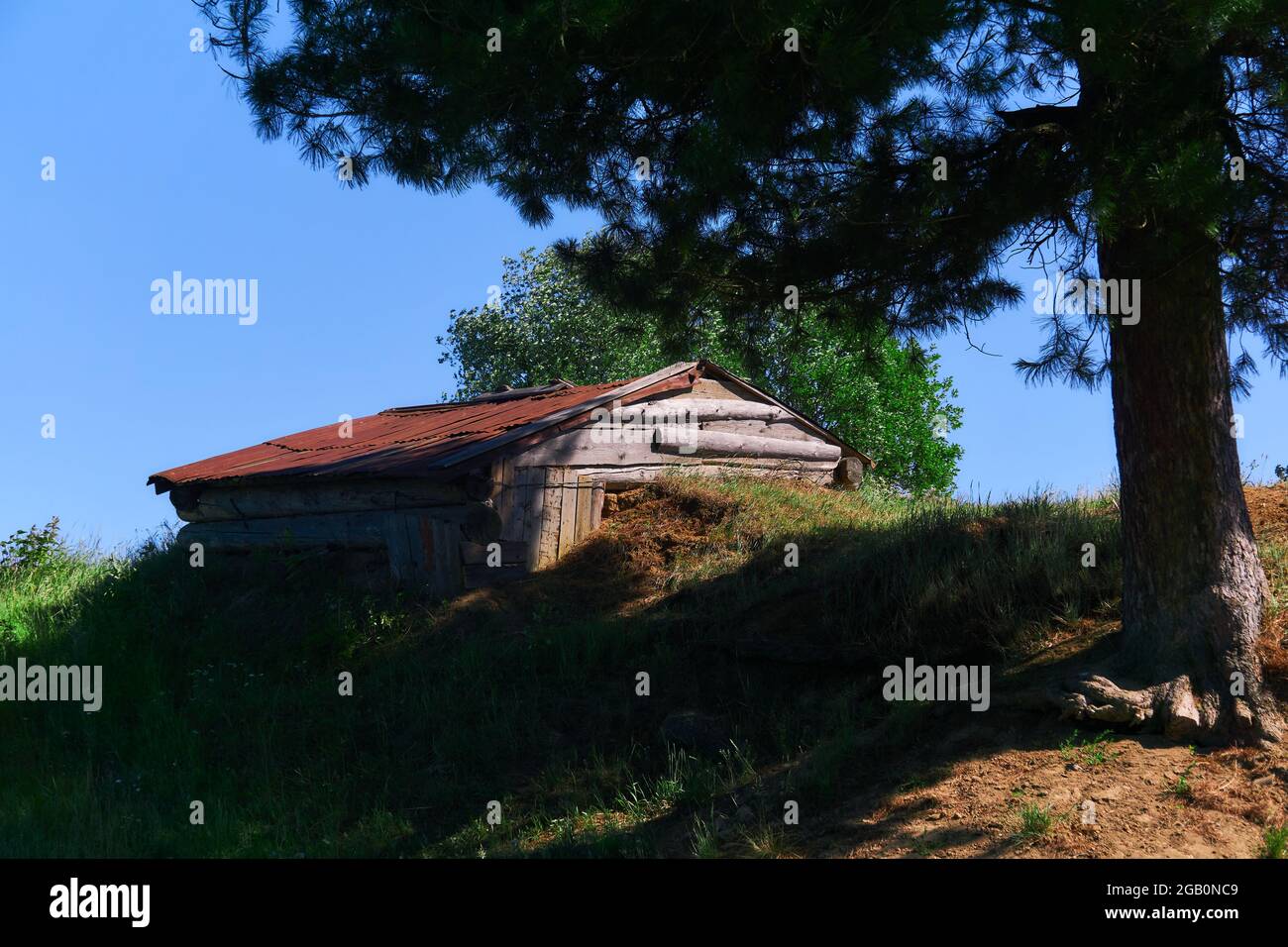 grange semi-dugout sur une colline sous un pin quelque part dans la campagne Banque D'Images