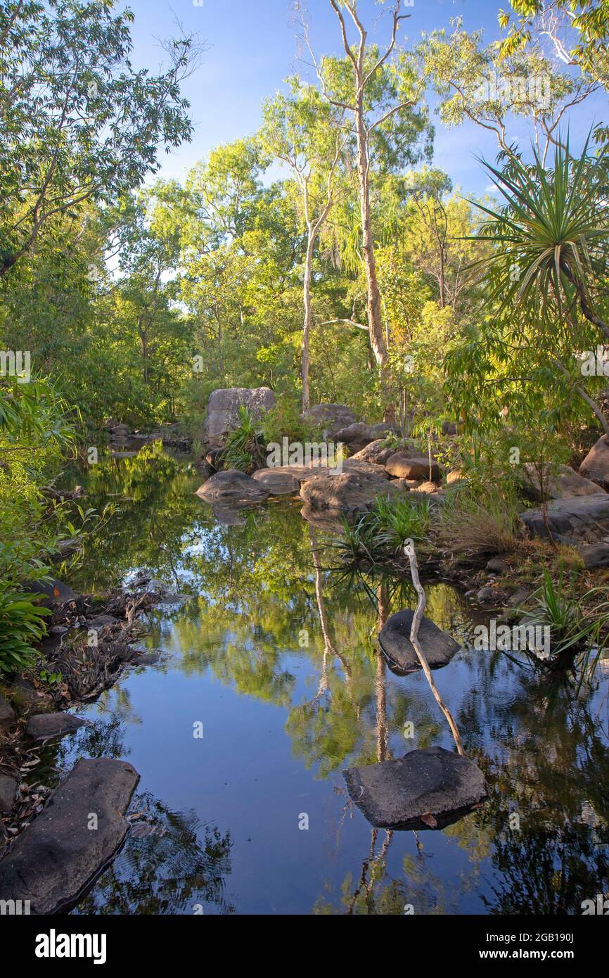 Ruisseau Kurrundie, parc national de Kakadu Banque D'Images