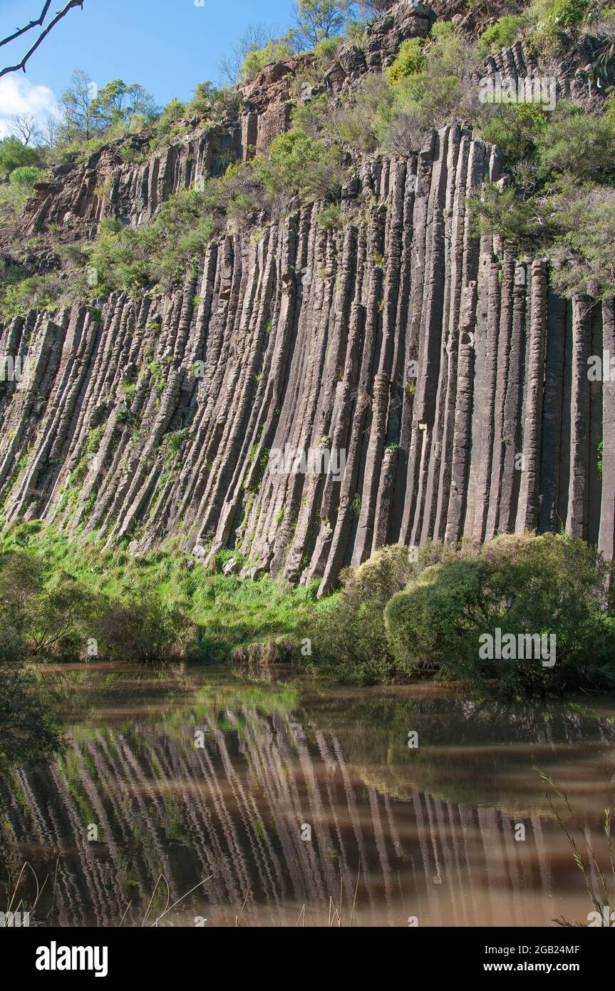 Formation de basalte par colonnes au bord d'un ancien écoulement de lave, parc national d'Organ Pipes, Victoria, Australie Banque D'Images