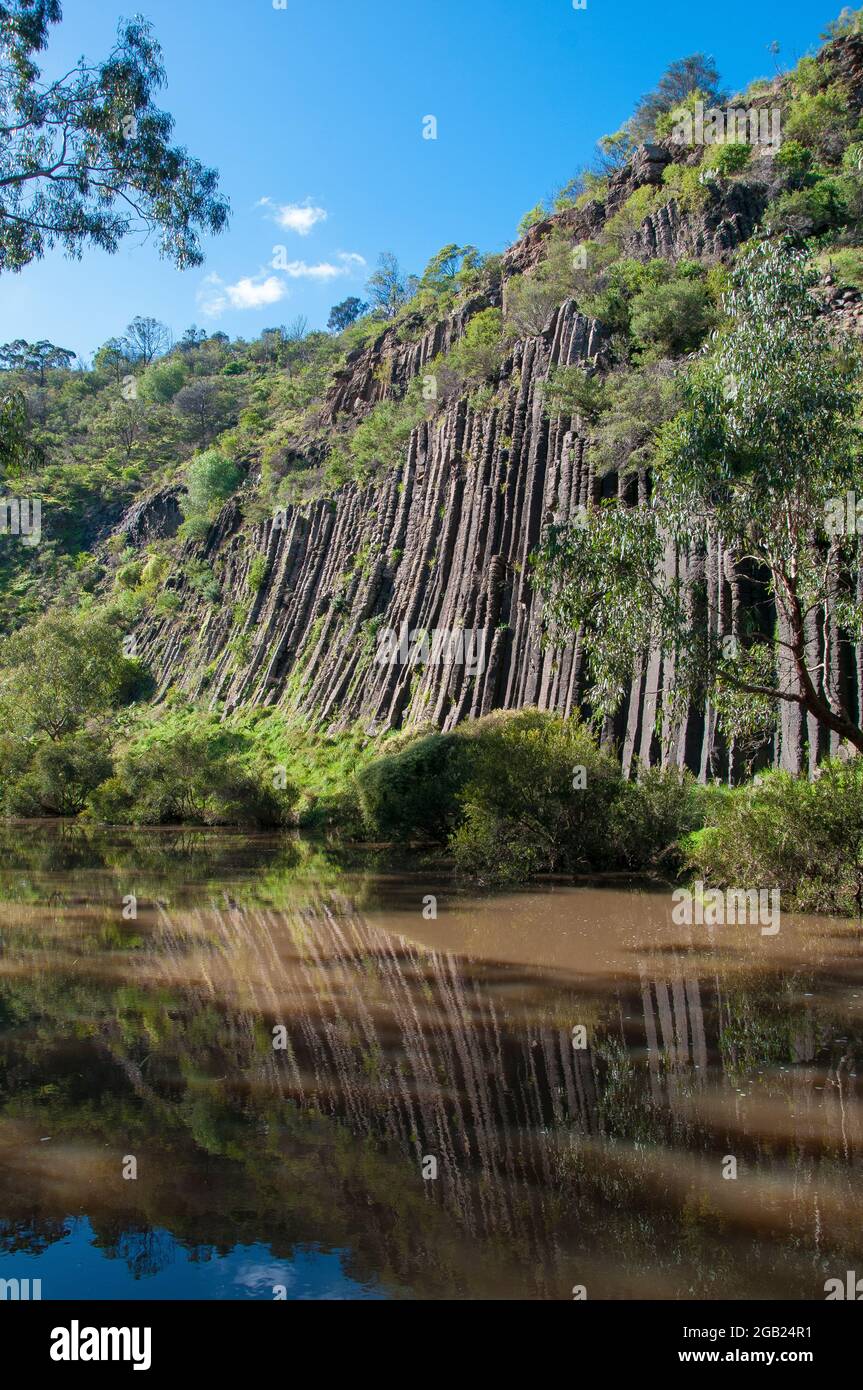 Formation de basalte par colonnes au bord d'un ancien écoulement de lave, parc national d'Organ Pipes, Victoria, Australie Banque D'Images