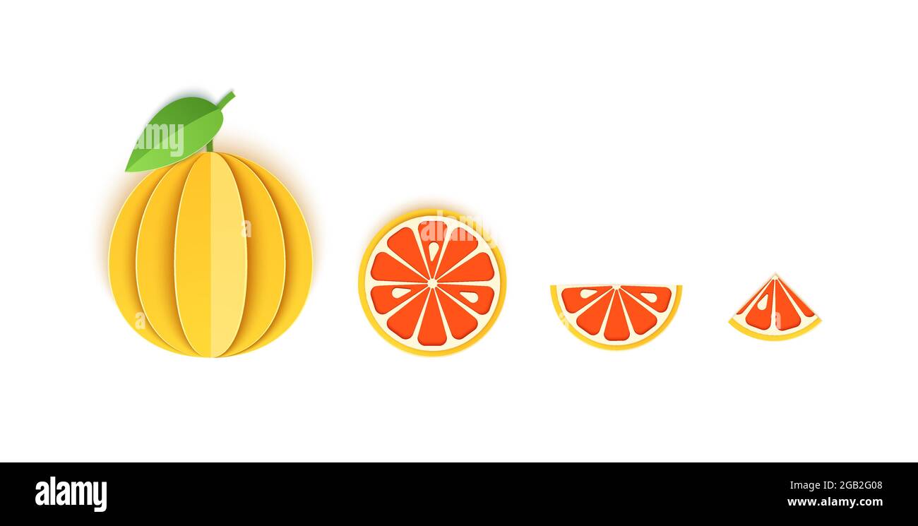 Ensemble de tranches de pamplemousse papier agrumes tranchés tranches entières, triangulaires et rondes, à utiliser à tout usage. Agrumes d'été, aliments juteux. Vecteur 3d Illustration de Vecteur