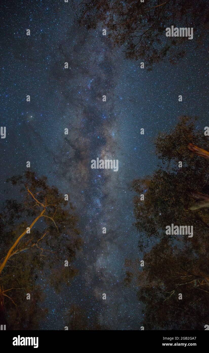 Milky Way , Warrumbungles Dark Sky Reserve centre-ouest NSW Australie Banque D'Images