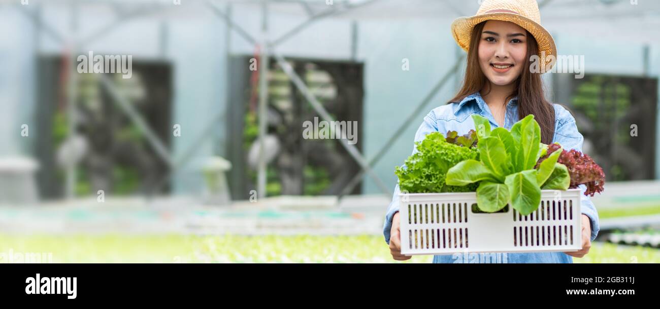 Une ferme de légumes biologiques saine, heureusement attrayante propriétaire de femme caisse pleine de légumes hydroponiques, tenir et combiner des plantes dans le panier dans la purée Banque D'Images