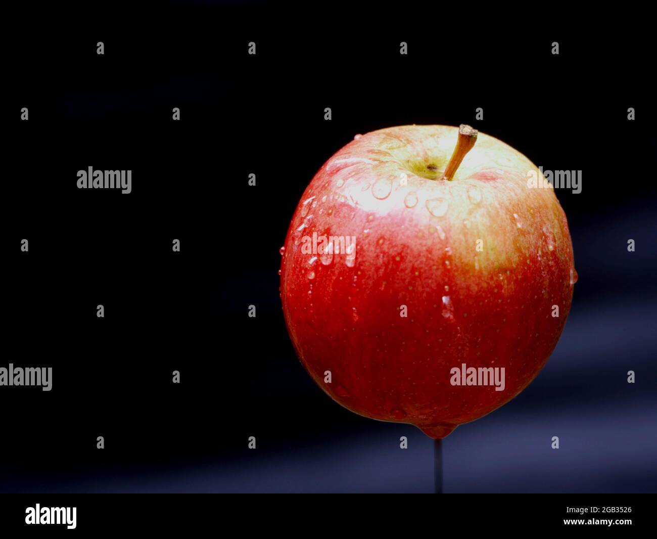 Voler une seule couleur rouge pomme fraîche avec des gouttes d'eau isolées sur fond noir, image alimentaire commerciale biologique. Banque D'Images