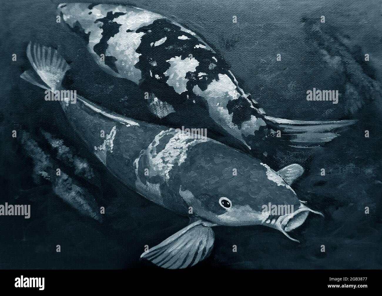 Peinture à l'huile de Fancy Carp photos de poissons Austiciousness Banque D'Images