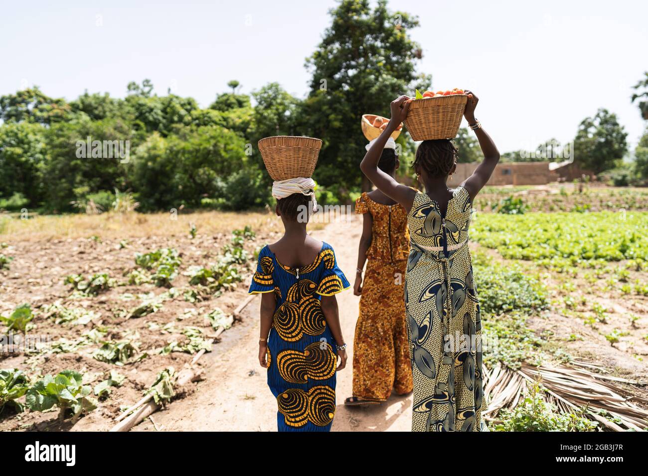 Dans cette image, un groupe de filles africaines admirablement vêtues avec des paniers pleins de tomates sur leur tête sont sur leur chemin vers le marché de rue d'une ne Banque D'Images