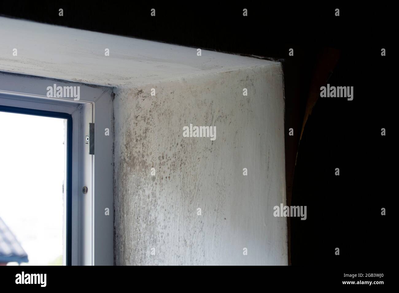 Moisissure et pourriture sur le cadre de fenêtre en plastique et le mur de ciment Banque D'Images