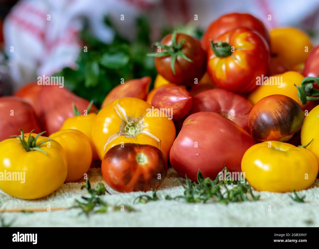 photo couleur avec légumes d'automne sur la table, différentes couleurs, formes et types de légumes préparés pour la mise en conserve à la maison, fragments de légumes, autu Banque D'Images