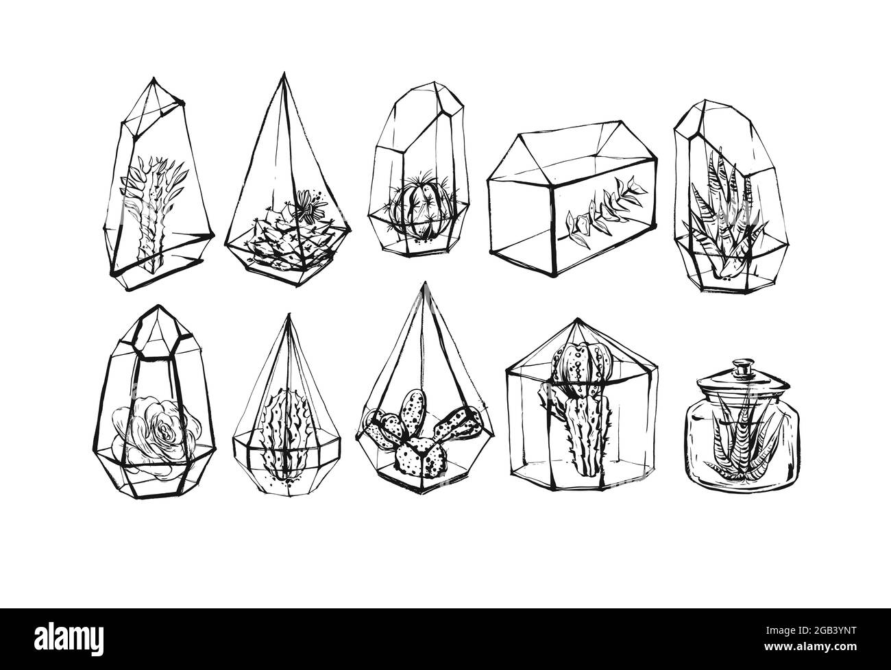 Ensemble de collection d'illustrations graphiques à plat de stock abstrait de vecteur dessiné à la main avec succulent et cactus esquisse dessiner des fleurs dans des terrariums en verre Illustration de Vecteur