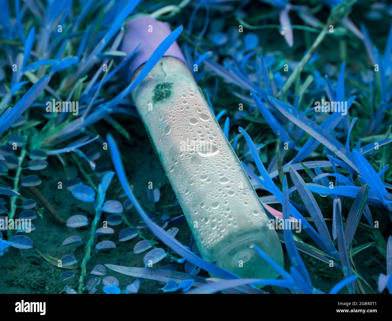 Bouteille cosmétique couchée sur gazon, nature pollution concept avec objet en plastique. Banque D'Images