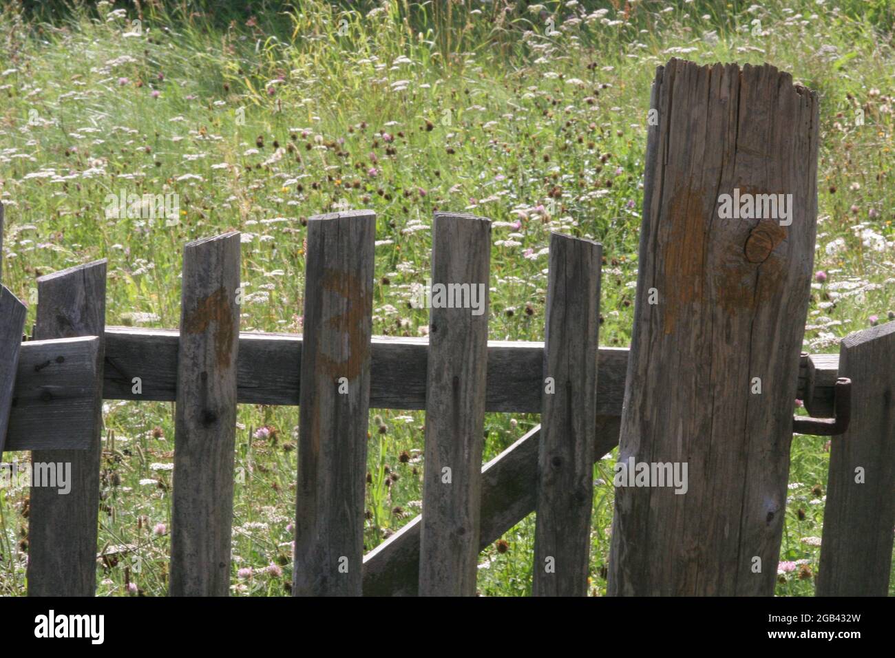 Vieille clôture, vieille clôture dans la campagne, clôture en bois, Banque D'Images