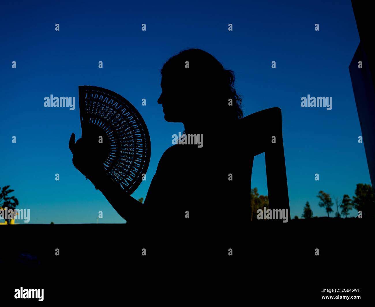 Belle femme - fan espagnol - magnifique silhouette d'une danseuse de