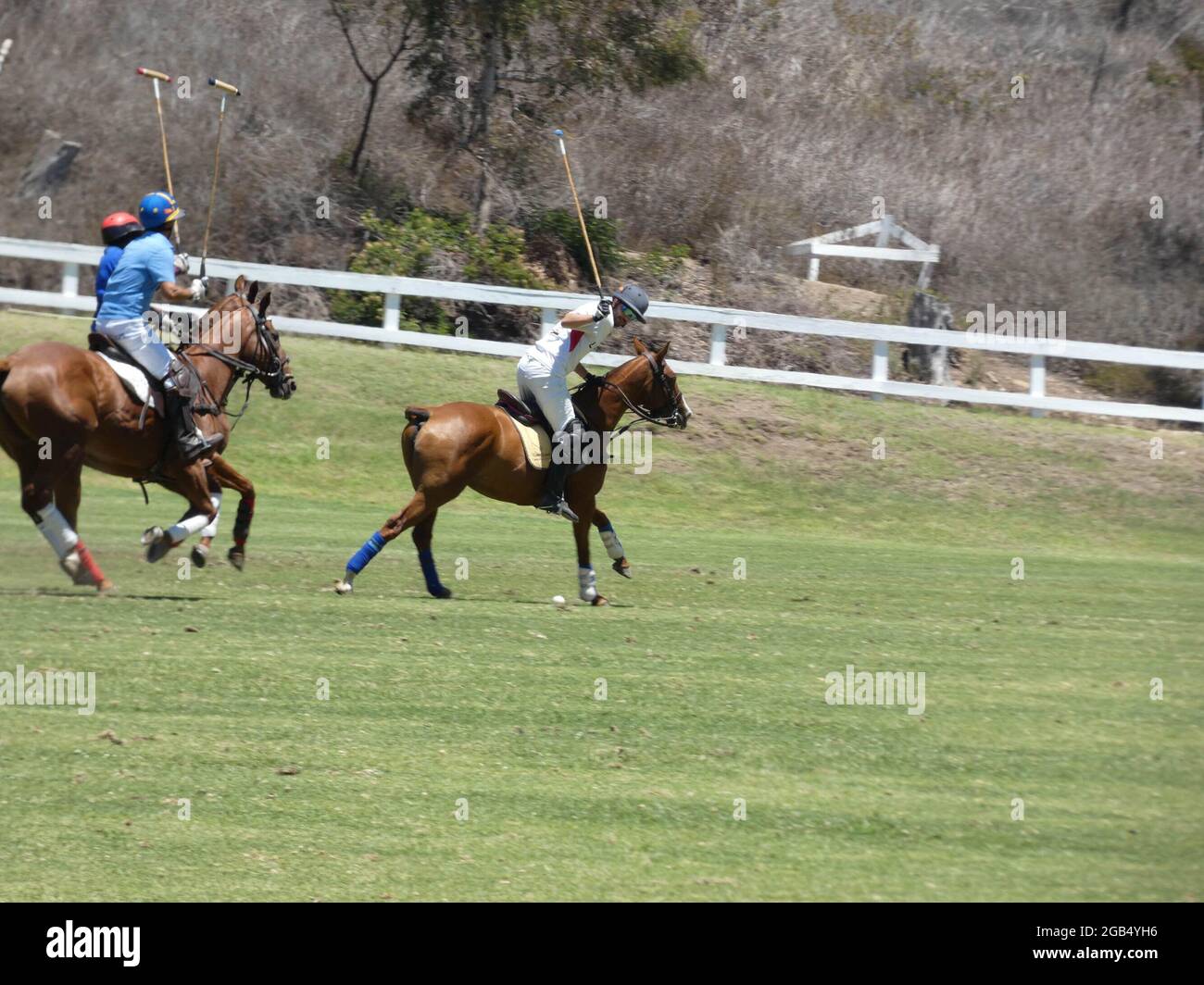 Californie, États-Unis. 1er août 2021. (SPO) l'affluence de la Californie du Sud est aux yeux des grandes ligues de International Polo. 1 août 2021, Pacific Palisades, CA, Etats-Unis: La St. Andrews Society dans le Pacifique Palisades aire de jeux de Hollywood Movie Stars a organisé leur palisant annuel de polo le long des rives du Pacifique californien, juste au nord de Los Angeles. Les Arabiens et les cavaliers ont montré leur meilleur parmi les collines et les clairières du Parc d'Etat de Wvolonté Rodgers, comme les concurrents ont tenté de sculpter une participation dans le monde du polo international pour la ville des Anges. (Credit image: © Julia Mineeva/TheNEWS2 via Z Banque D'Images