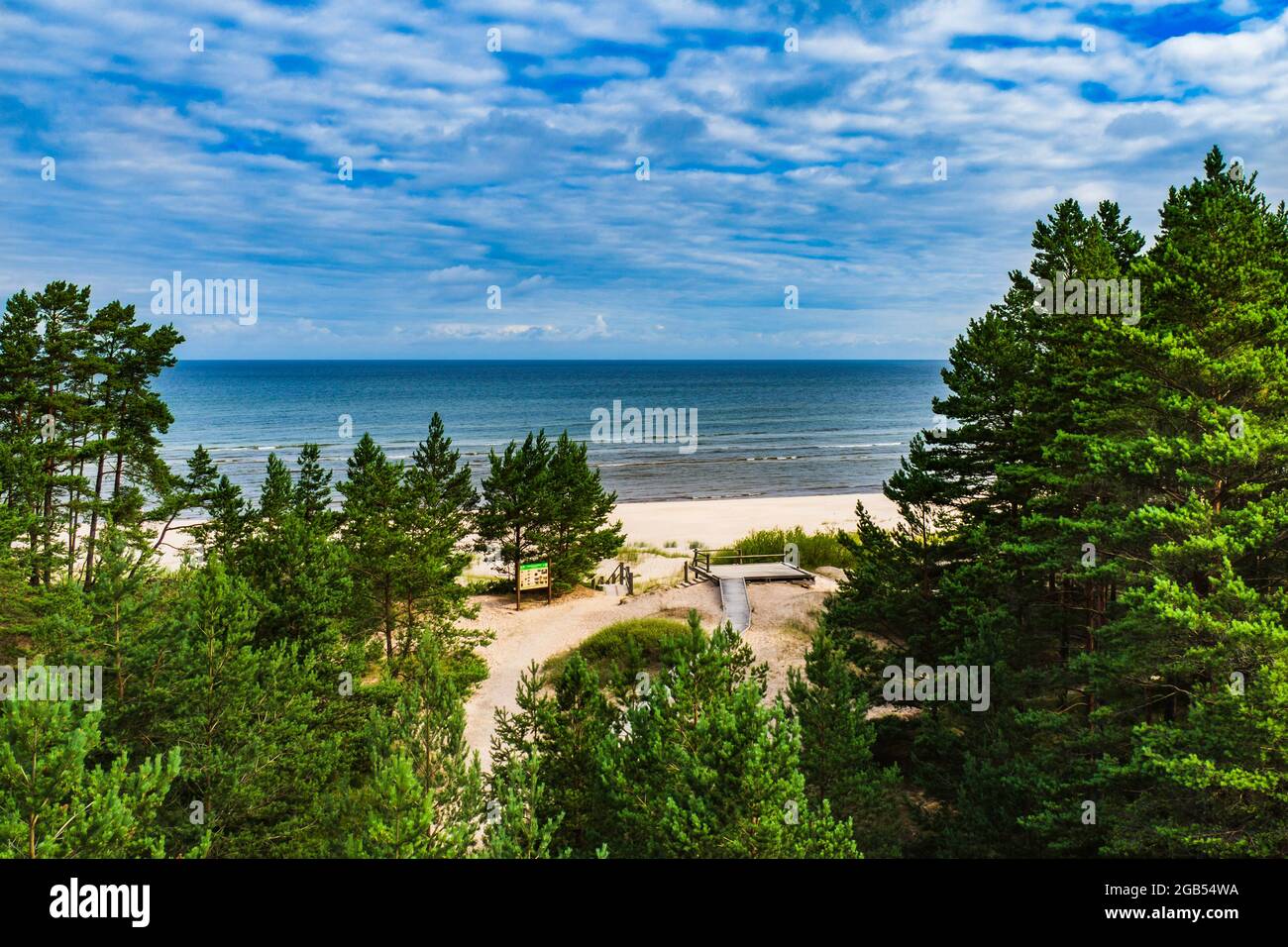 Ocean Sandy Beach et Conify Forest Landscape Banque D'Images