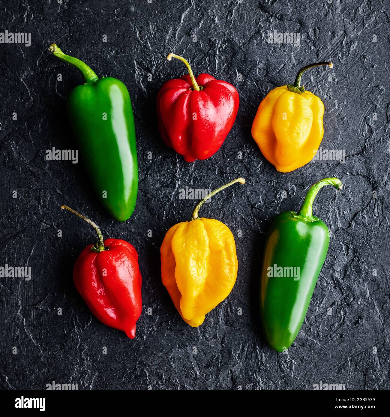 Différentes couleurs de poivrons chauds jalapeno et habanero sur fond noir gros plan. Photographie alimentaire Banque D'Images