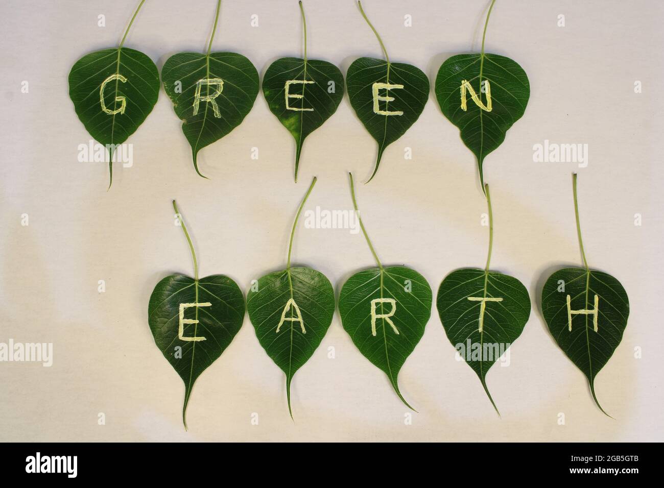 Journée mondiale de l'environnement. Concept de la Journée mondiale de la Terre. Imprimé à la main comme surface texturée feuille verte. Journée de la Terre et écologie. Énergie verte, énergie renouvelable Banque D'Images