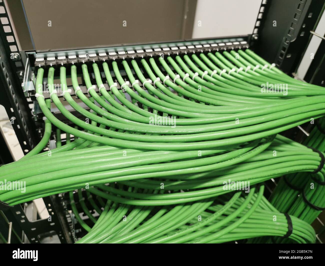 Câblage vert et prises de connexion d'une installation de câble Internet Banque D'Images