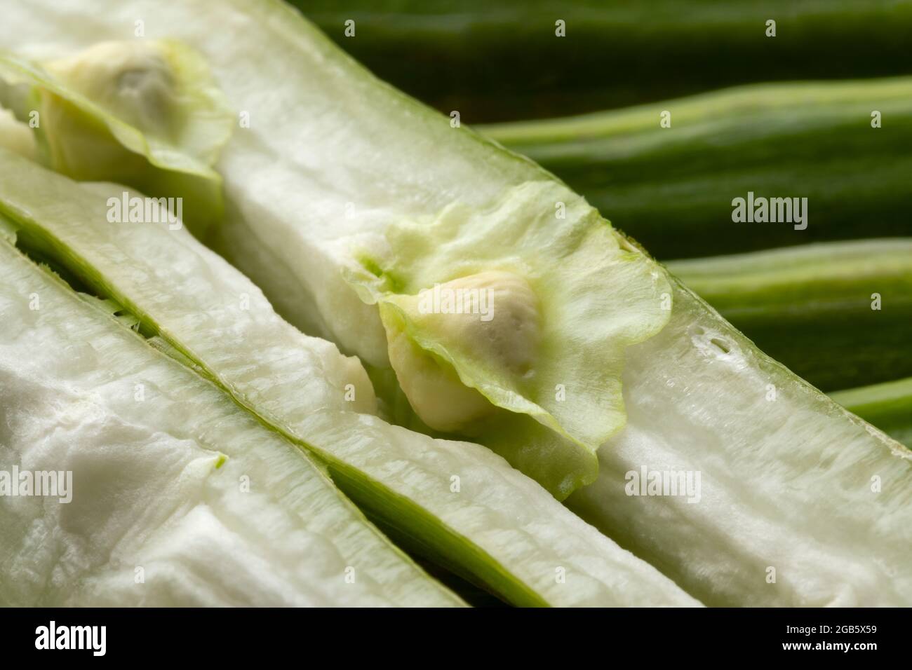 Des graines de moringa vertes fraîches dans un grain de moringa de moitié en gros plan Banque D'Images