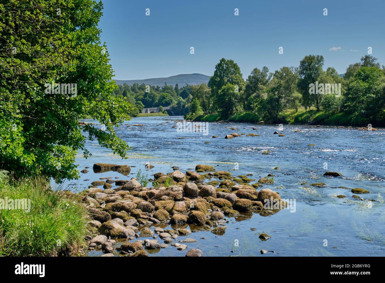 La rivière Spey près de Grantown-on-Spey, Badenoch et Speyside, Écosse Banque D'Images