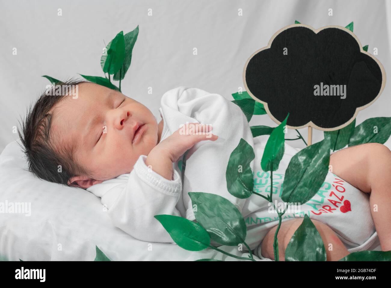 Beau bébé nouveau-né (4 jours), dormant dans un panier en fibre de bambou  et entouré de feuilles vertes. Avec espace pour le texte publicitaire dans  le noir nuage sh Photo Stock -