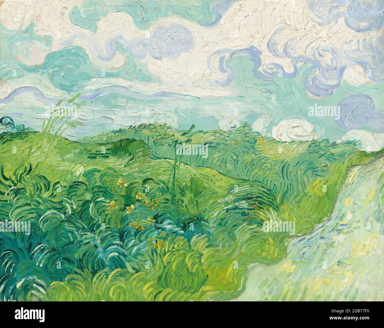 Titre: Champs de blé vert, Auvers Créateur: Vincent van Gogh Date: 1890 Moyen: Huile sur toile Dimensions: 72.39 × 91.44 cm emplacement: National Gallery of Art, Washington Banque D'Images