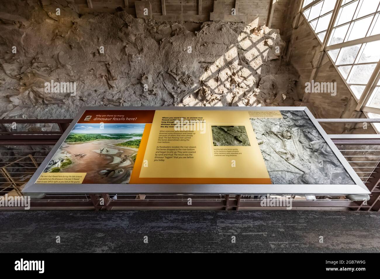 Dans la salle d'exposition Quarry du Dinosaur National Monument, à la frontière de l'Utah et du Colorado, aux États-Unis [aucune autorisation d'artiste ; licence éditoriale uniquement] Banque D'Images