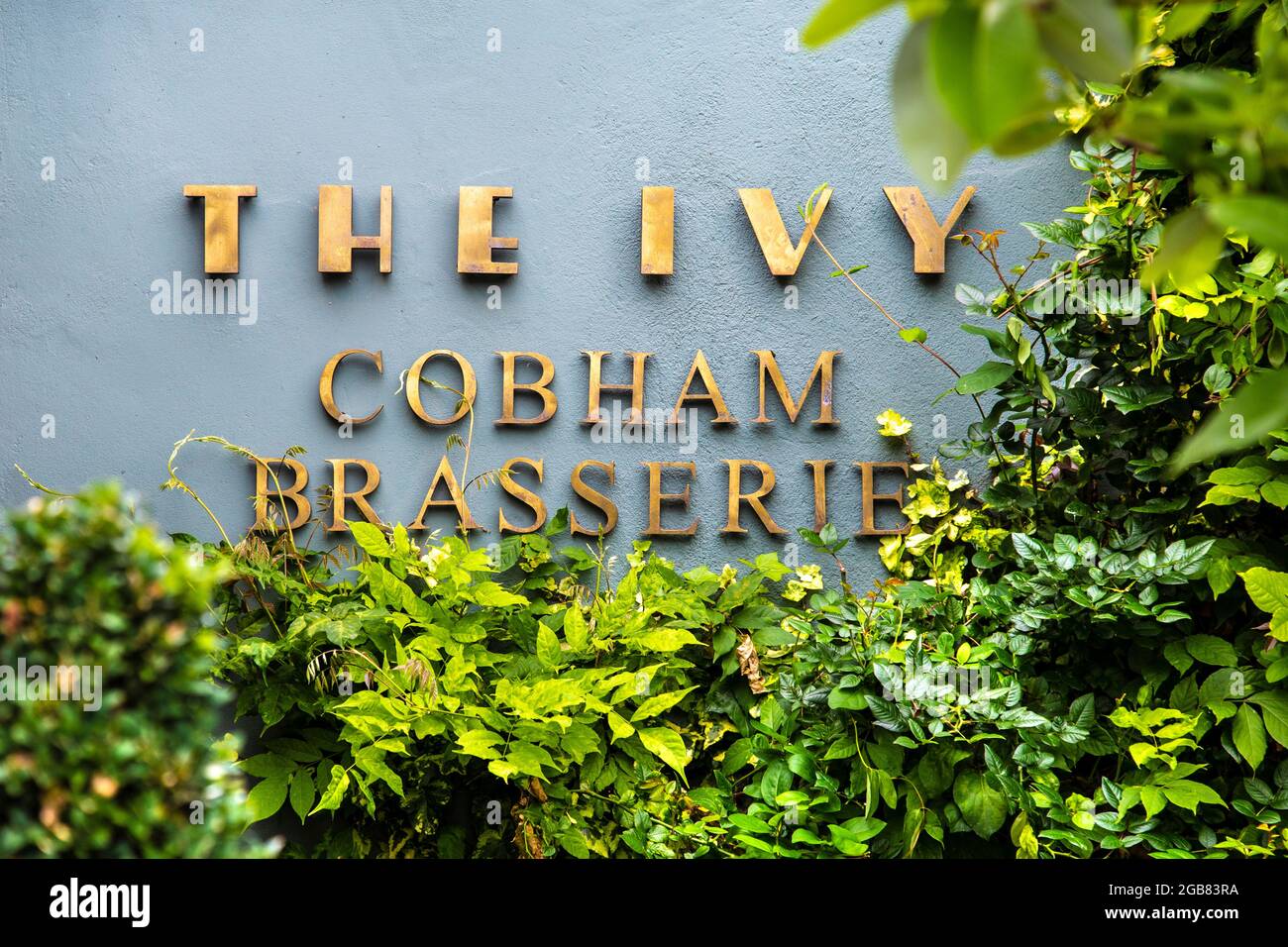 Panneau sur l'extérieur de la brasserie Ivy Cobham, Cobham, Surrey, Royaume-Uni Banque D'Images