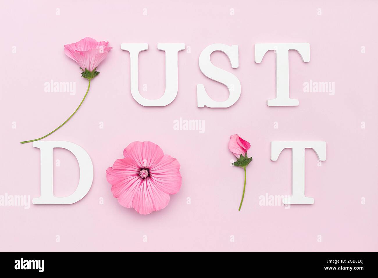Faites Le Simplement Citation Motivationnelle De Lettres Blanches Et Beaute De Fleurs Naturelles Sur Fond Rose Concept Creatif Citation Inspirante De La Journee Photo Stock Alamy