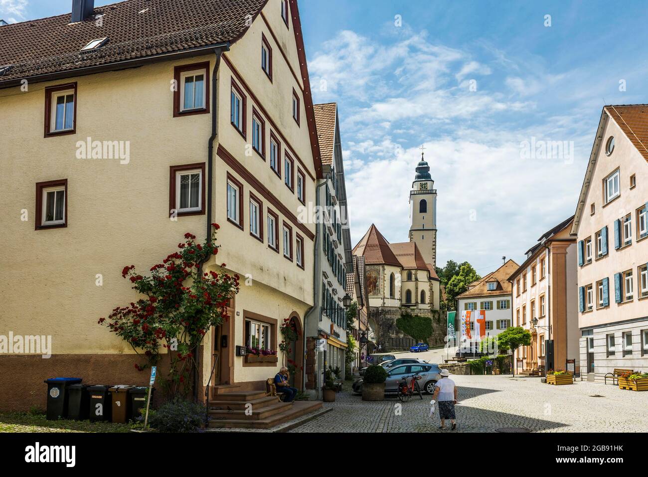 Vue sur la ville, Horb am Neckar, Neckar, Forêt Noire, Bade-Wurtemberg, Allemagne Banque D'Images