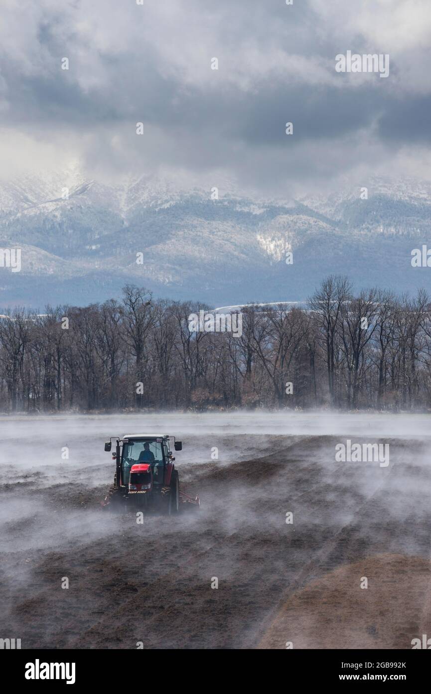 Tracteur semant un champ alors qu'il est en train de se vaporer depuis le sol chaud, site classé au patrimoine mondial de l'UNESCO, Parc national de Shiretoko, Hokkaido, Japon Banque D'Images