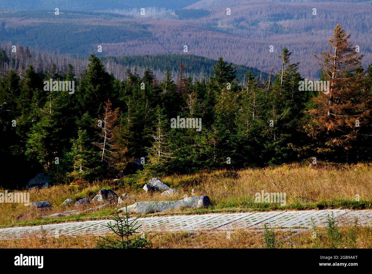 Column Trail, Hole plate Trail to the Brocken Peak, installation de la frontière allemande intérieure, Green Belt, Border Trail, Blocksberg, Brocken Peak, Sommet Banque D'Images