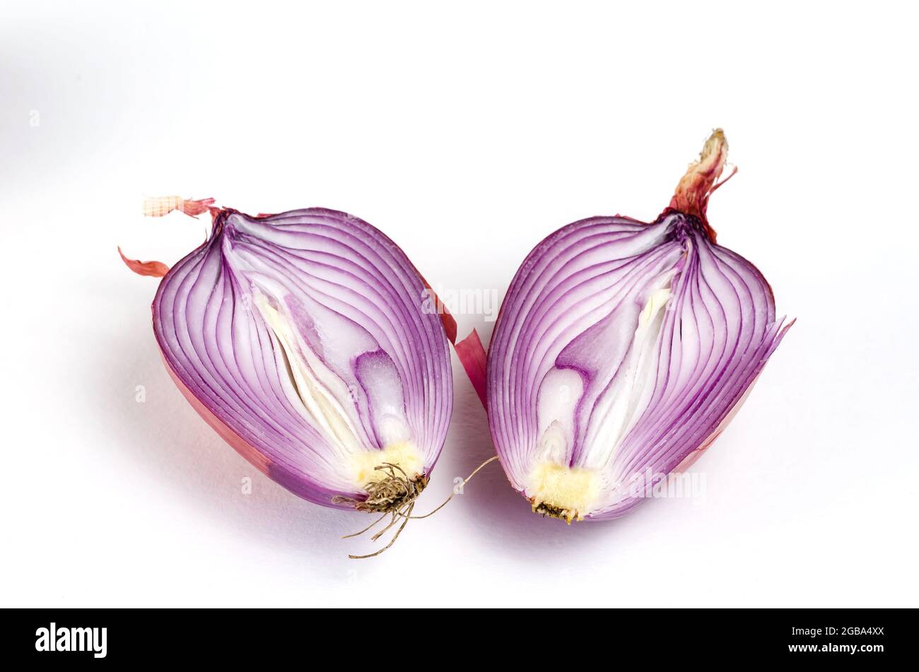 Deux moitiés d'un oignon non pelé mûr brut sur fond blanc. Oignon italien Ramata di Milano. Section transversale légumes racines dans la peau. Nourriture, ingredi Banque D'Images